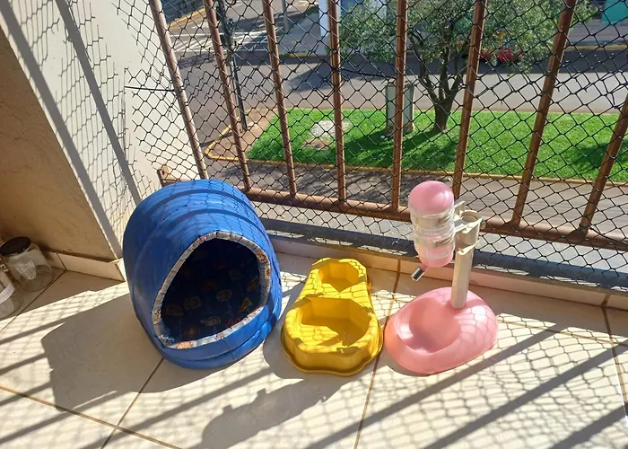 Apto De 2 Quartos Com 2 Ar E Garagem No Centro-Sul